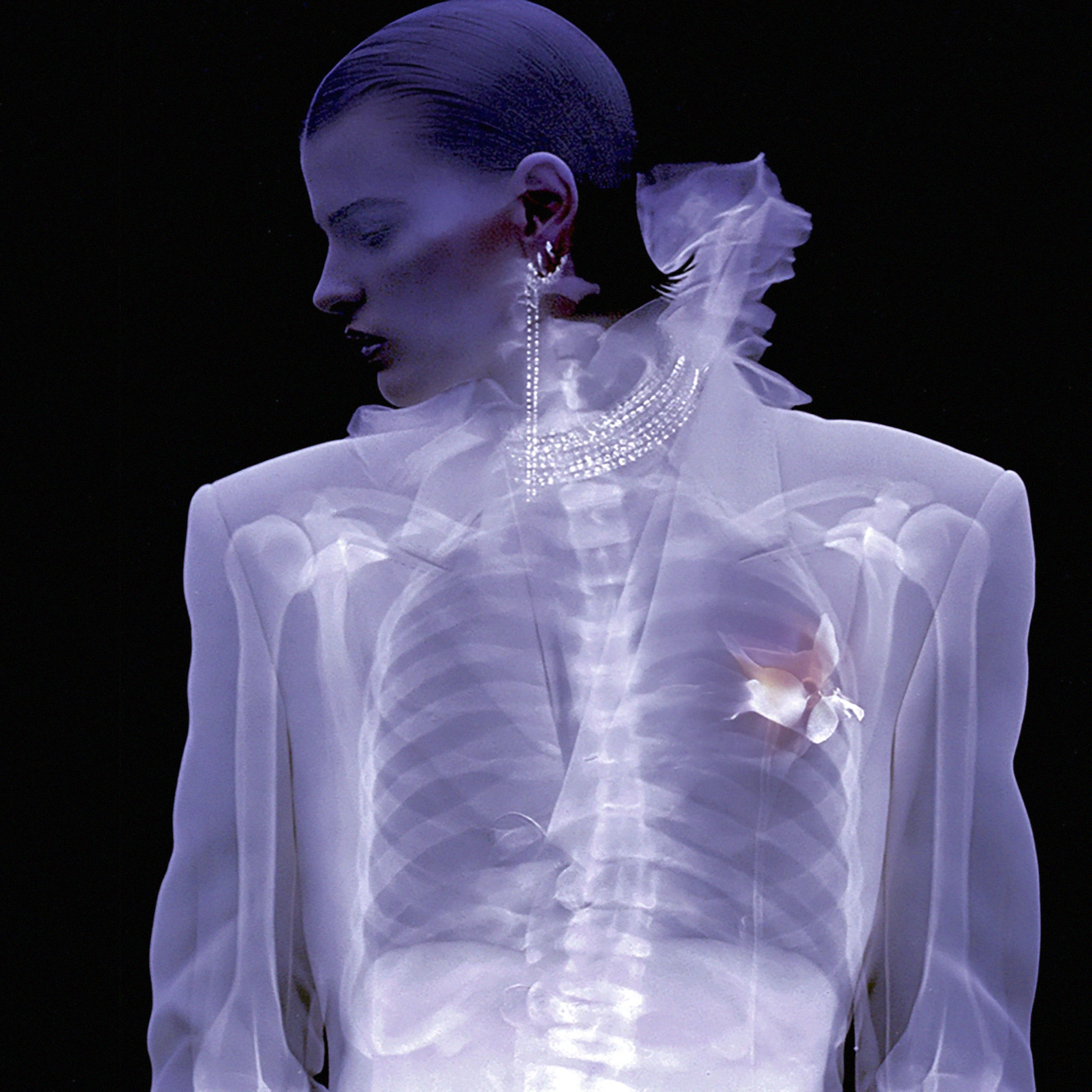 Tendre Commission: X-Ray Art Series #1 - 1/1 by Masha Kozhdan